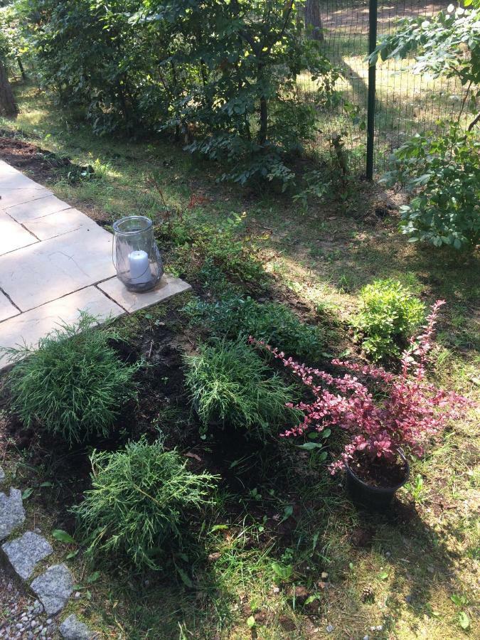 Villa Zlote Wydmy Międzywodzie Dış mekan fotoğraf